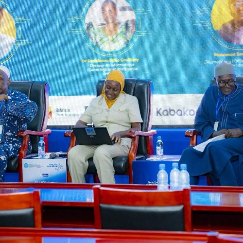 TRAVAUX DE PANEL – PANEL 1